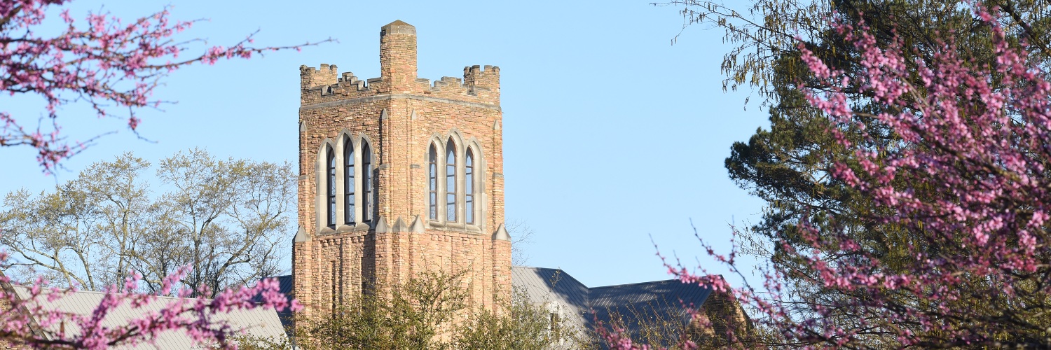 UAM Alumni & Friends banner