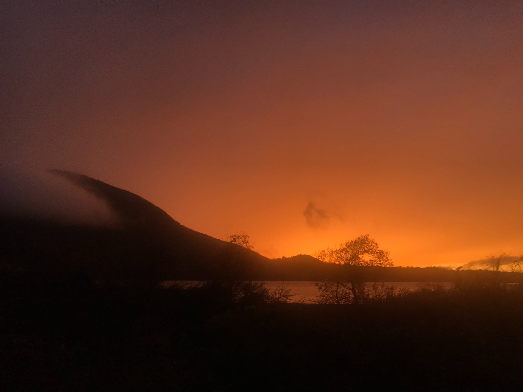 Lenape Center banner
