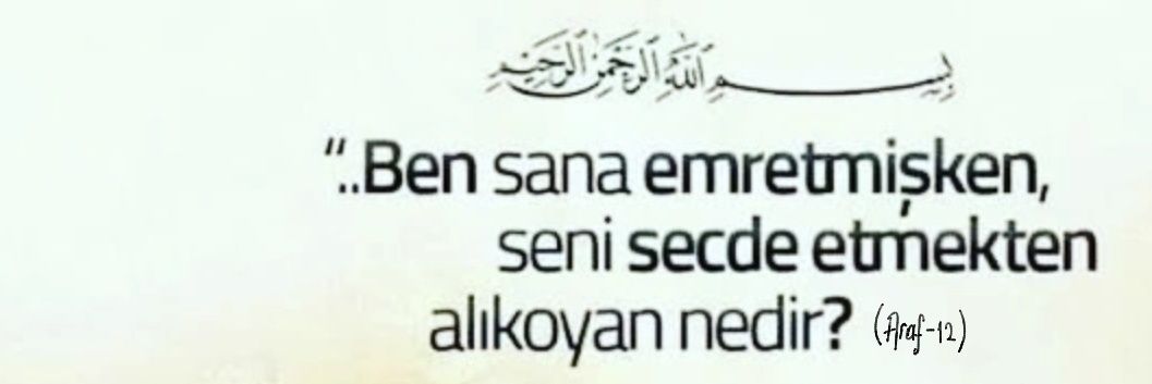aysecnnn's profile banner image