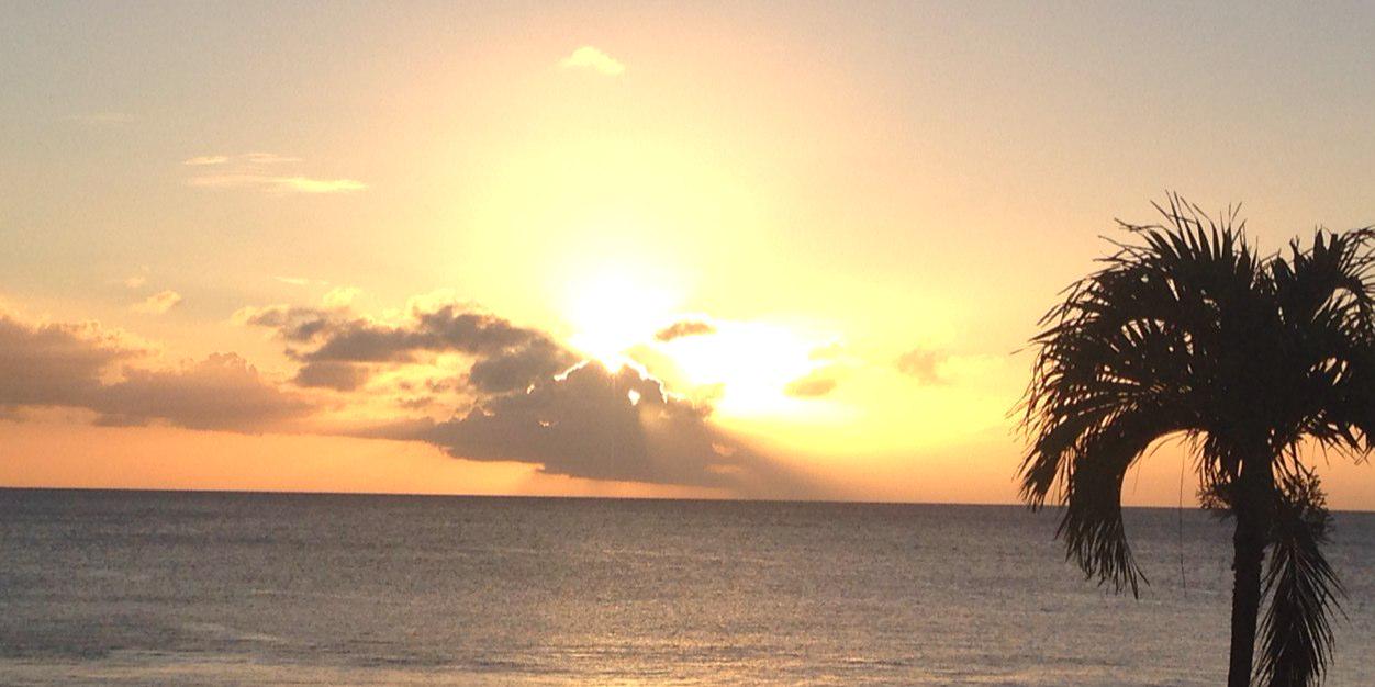 suebaggott's profile banner image