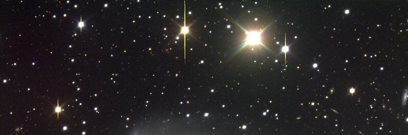 eceakktas's profile banner image
