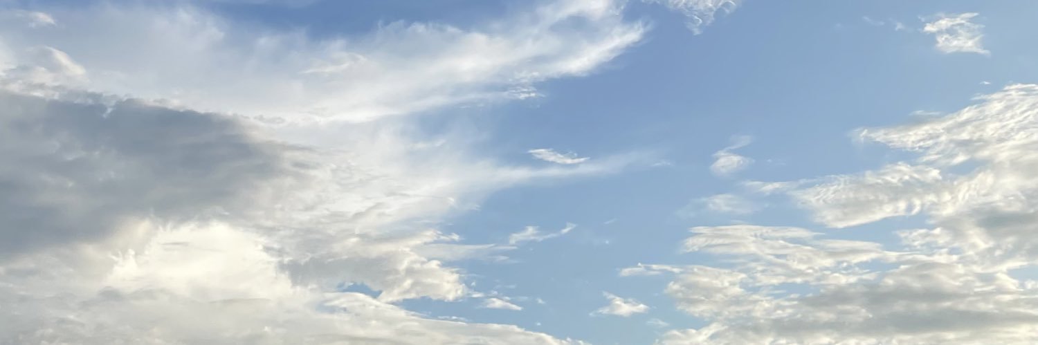 ffaypie's profile banner image