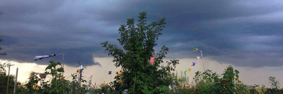 Constance Daulon banner