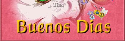AdriElGager's profile banner image