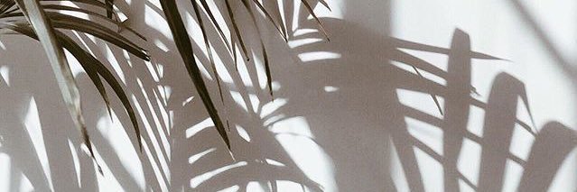giuliaumena's profile banner image