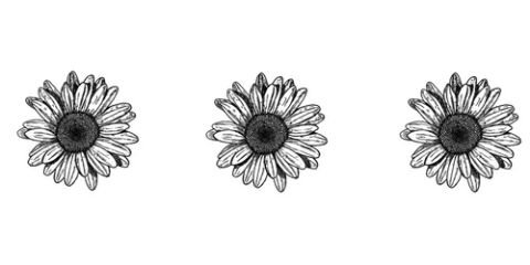 dewianggrni's profile banner image