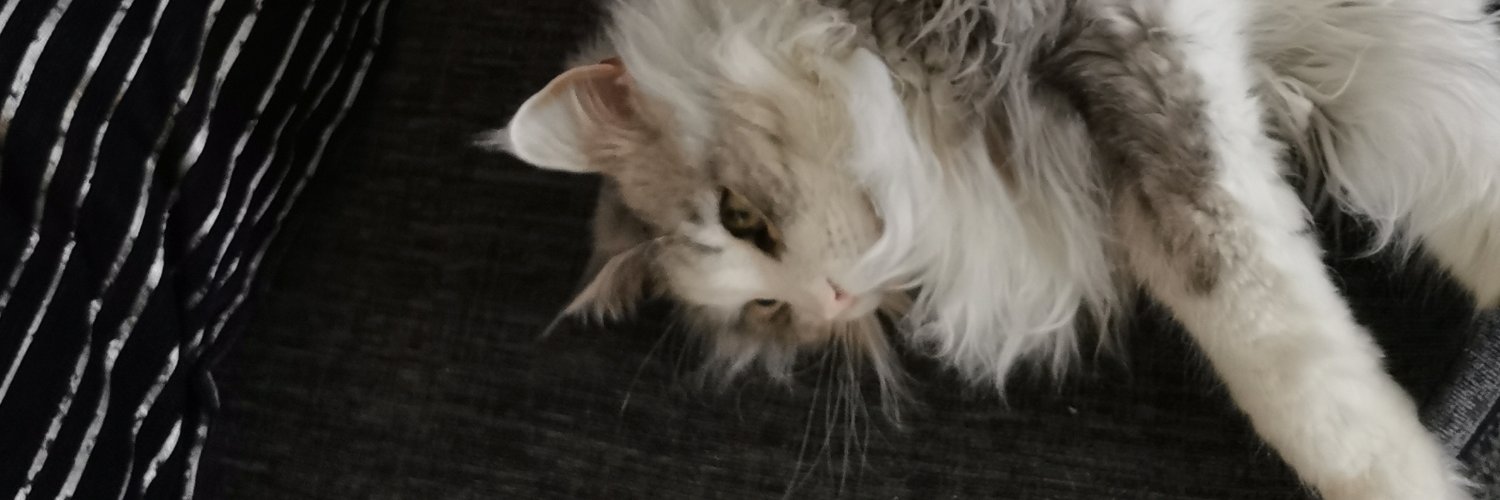 kingbiatch1's profile banner image