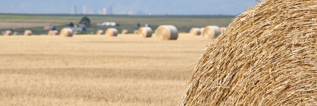Rocky Mountain Farmers Union banner