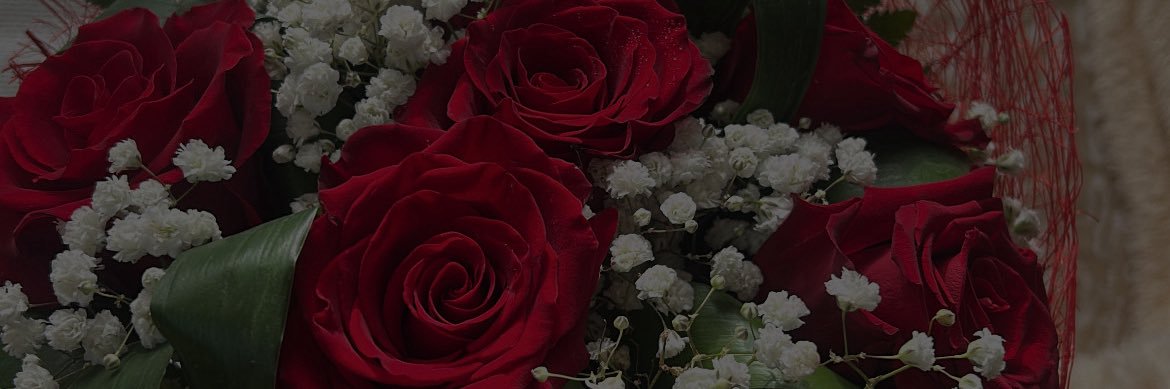 xorsin's profile banner image
