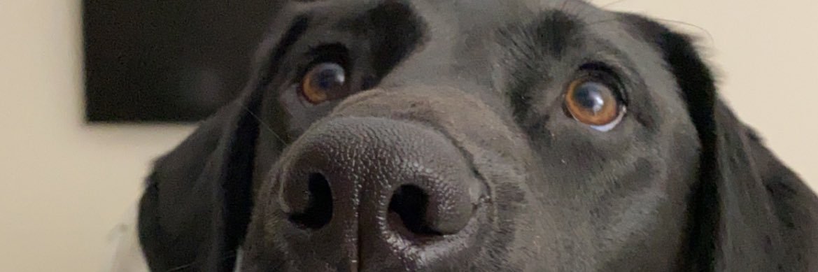 Sydthom5's profile banner image