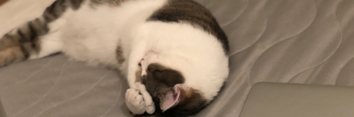 ValentinTwette's profile banner image