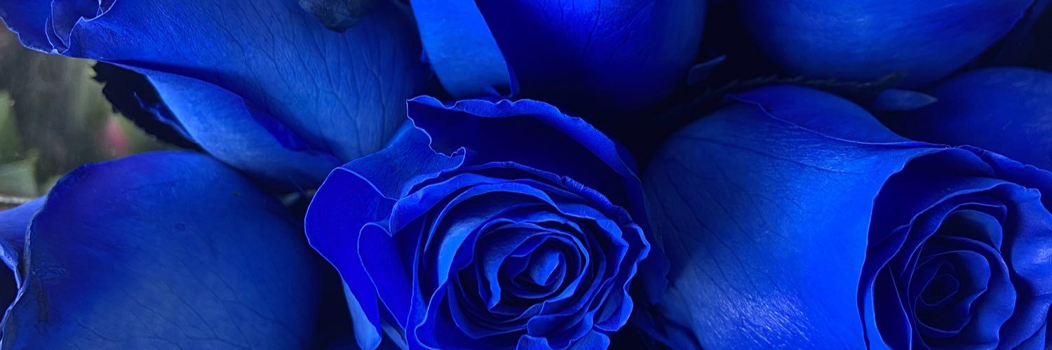 __mayamyaa's profile banner image