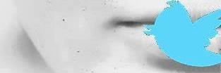 rosariamangano2's profile banner image