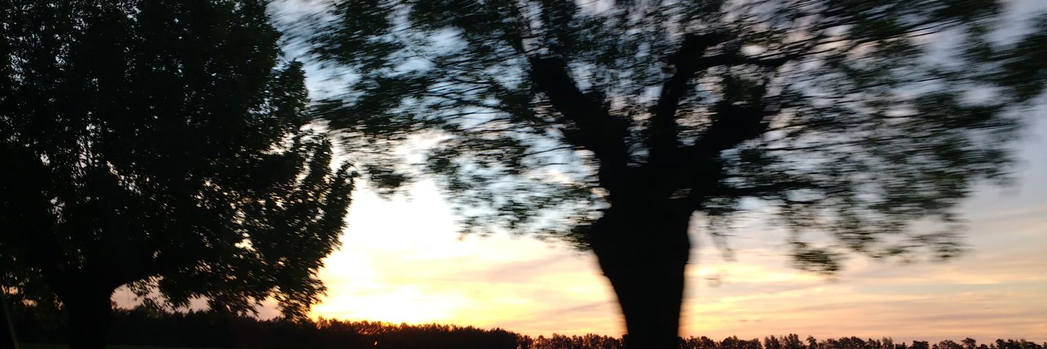 JulyMoralez2's profile banner image