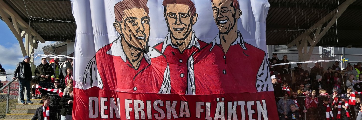 Robin 🇸🇪 banner