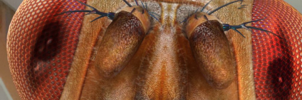 TheMOUCHEEE's profile banner image