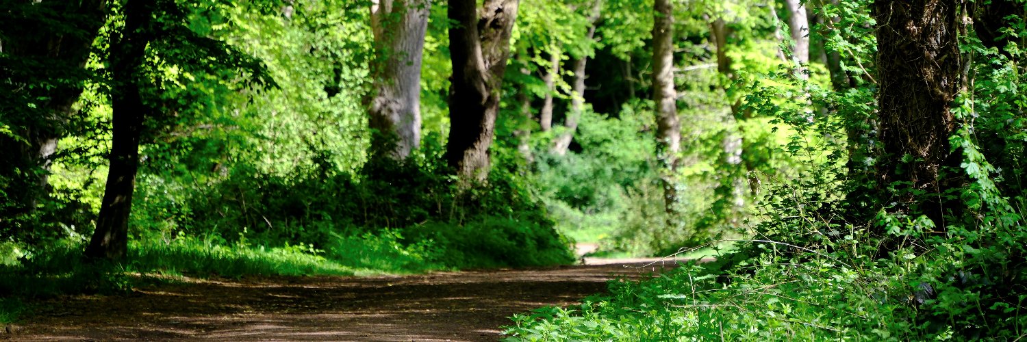 Epping Forest's banner