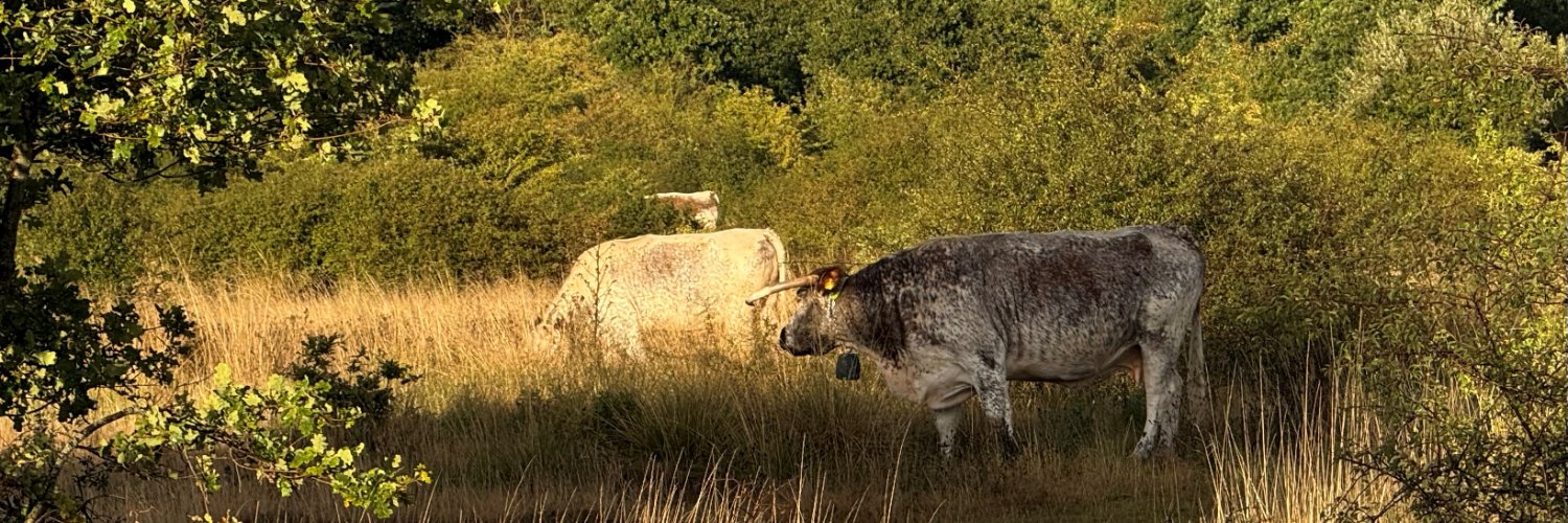 Epping Forest banner