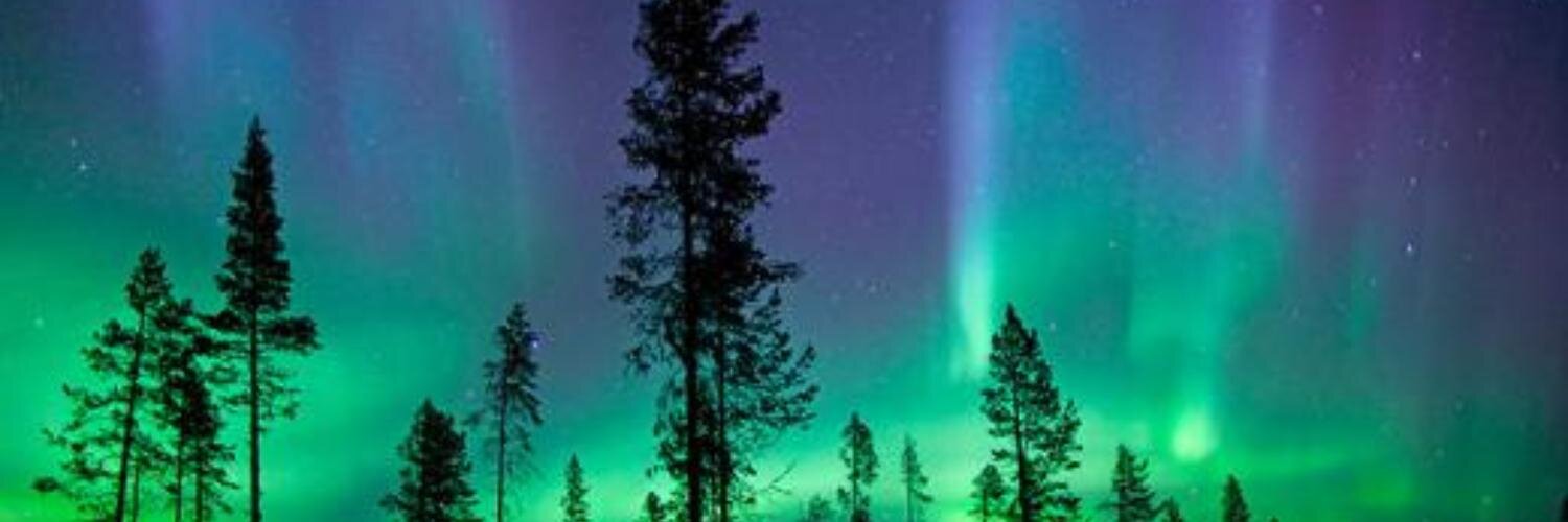 toprak_ftm's profile banner image