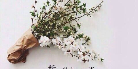 mayar352's profile banner image