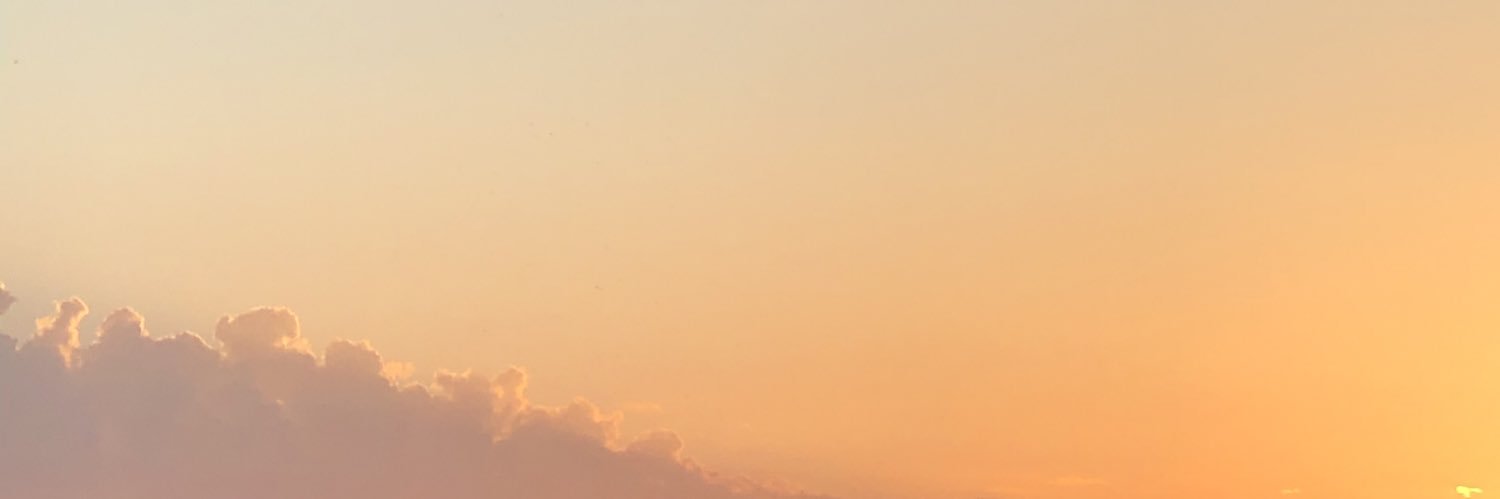mereneedham's profile banner image
