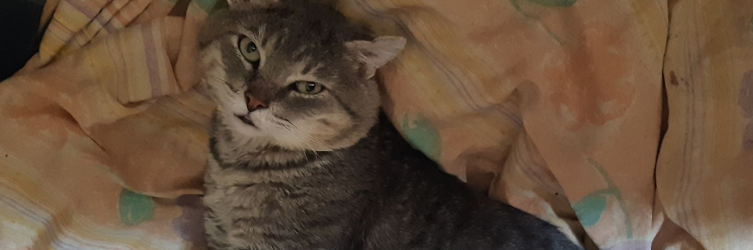 Tatiana Ramírez banner