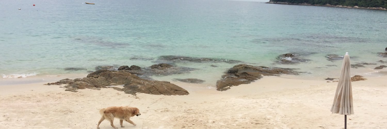 h2masa's profile banner image