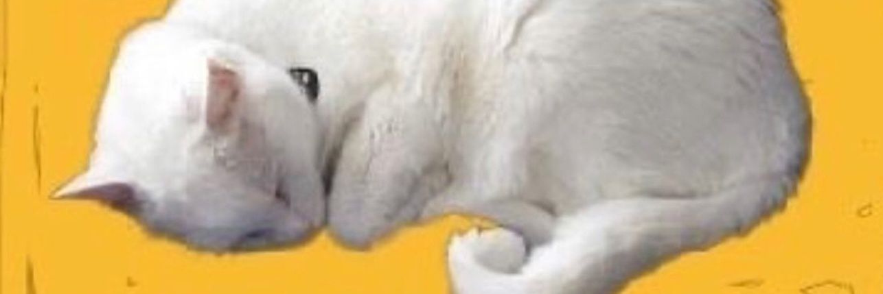 brndnlmao's profile banner image