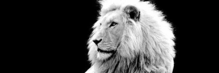 zedaroslan's profile banner image