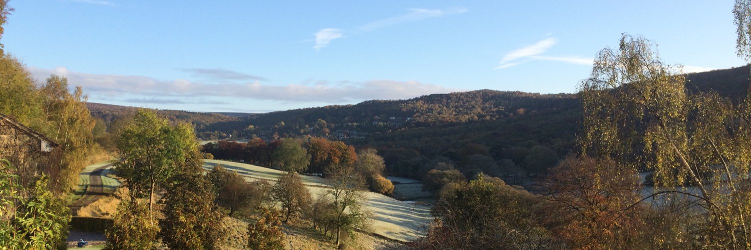 Lotte Pitcher banner