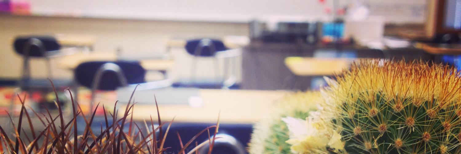 TeacherTomlins's profile banner image