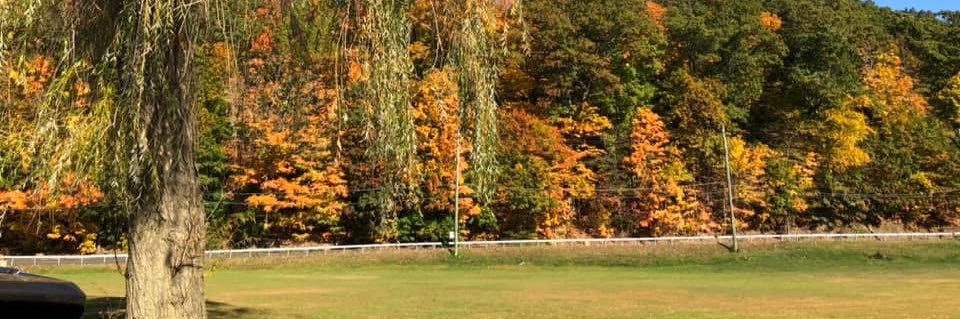 Mare of NorthEast banner