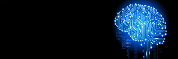 nadavcohen Profile Banner