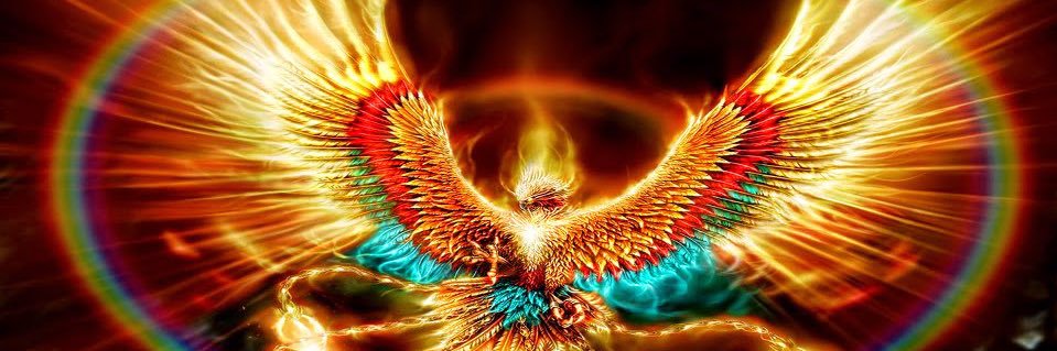arreolavelez's profile banner image