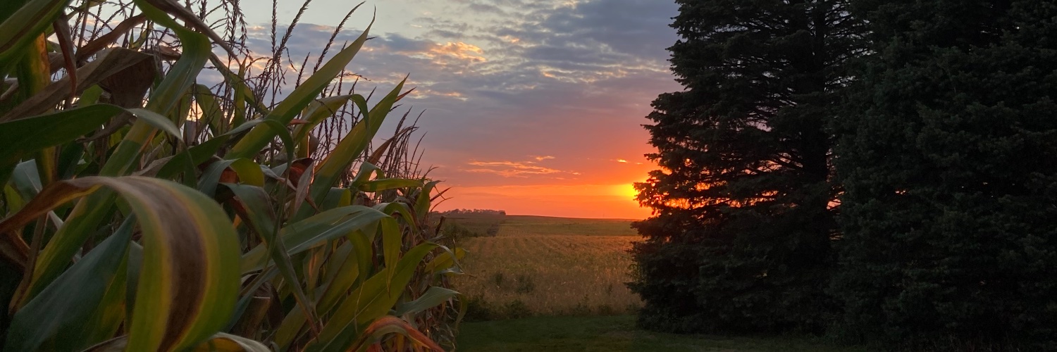 Melissa Miller banner