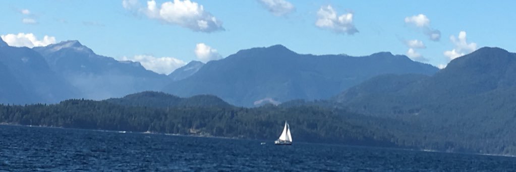 Pam Goldsmith-Jones banner