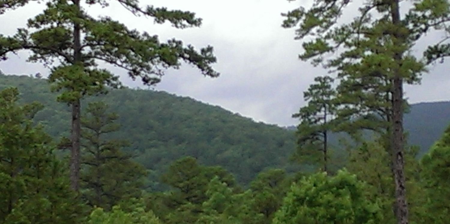 EricAdams74's profile banner image