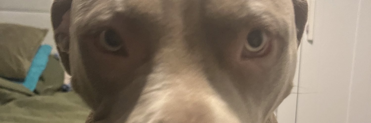 Colllars's profile banner image