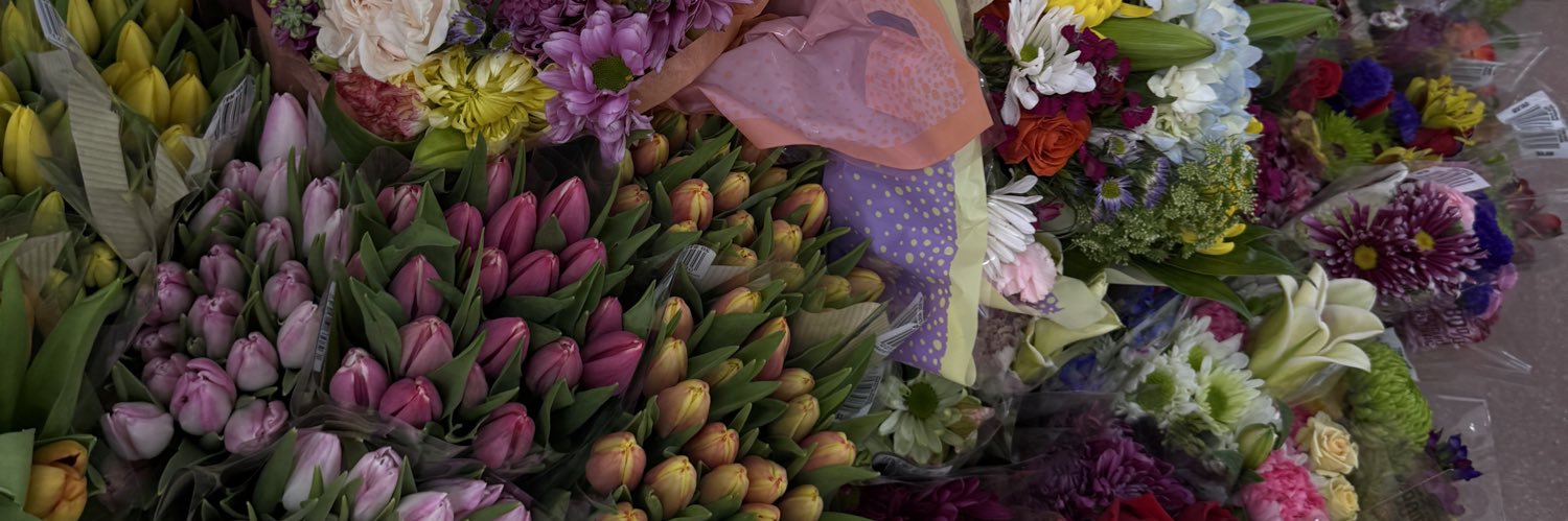natalieebro's profile banner image