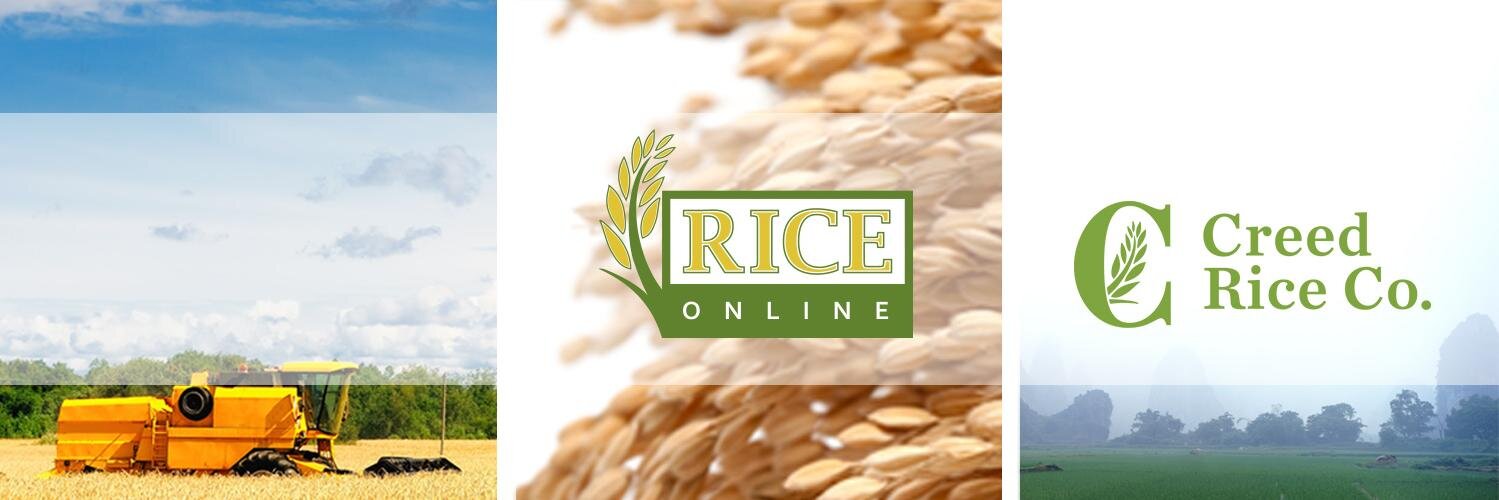 CreedRice/RiceOnline (@creedriceonline) / Posts / X