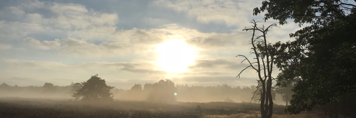 NorbertAndringa's profile banner image