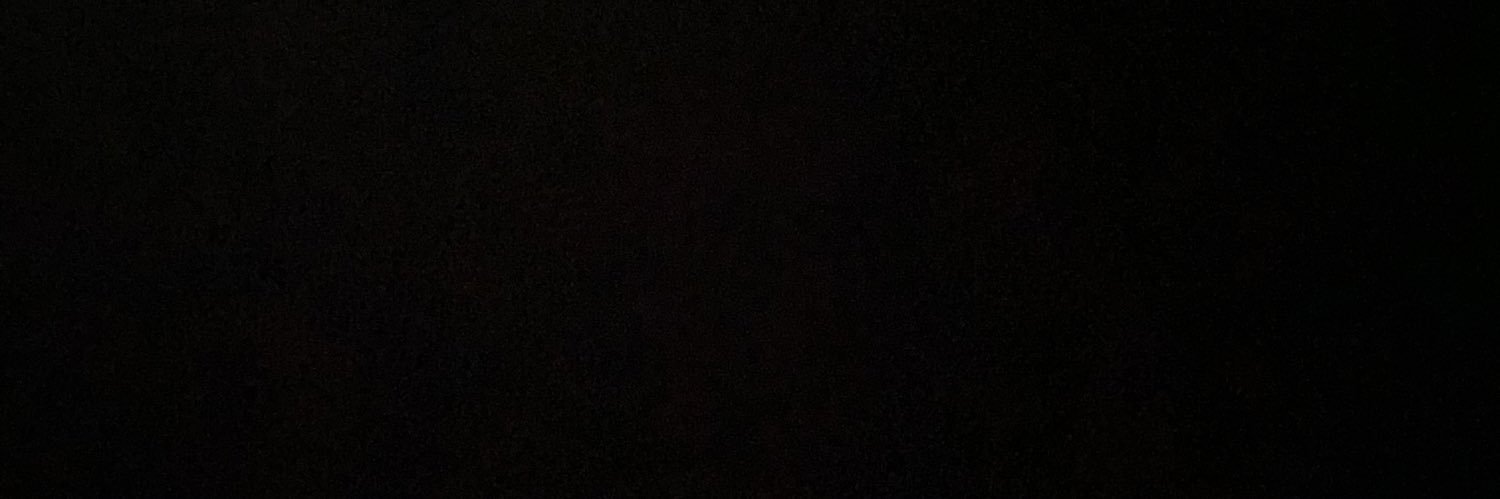 ervinko13's profile banner image
