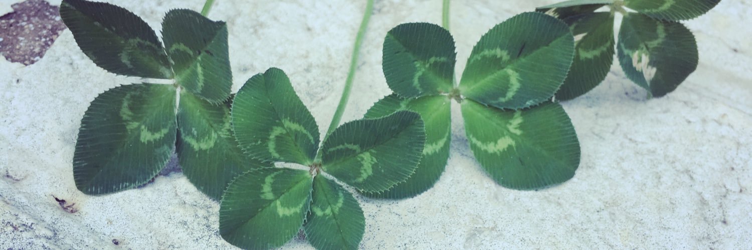 EbethGooding's profile banner image