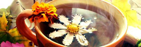 TechTekedra Profile Banner