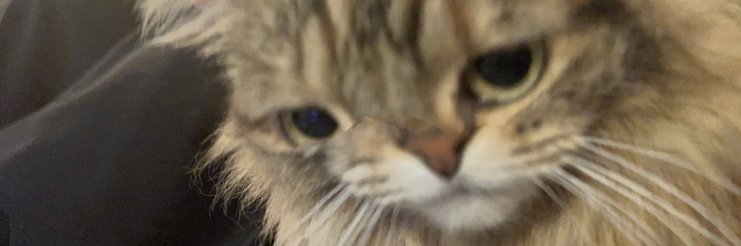 chrispytp's profile banner image