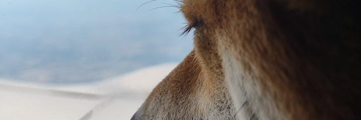 NoNkEyMuTz's profile banner image