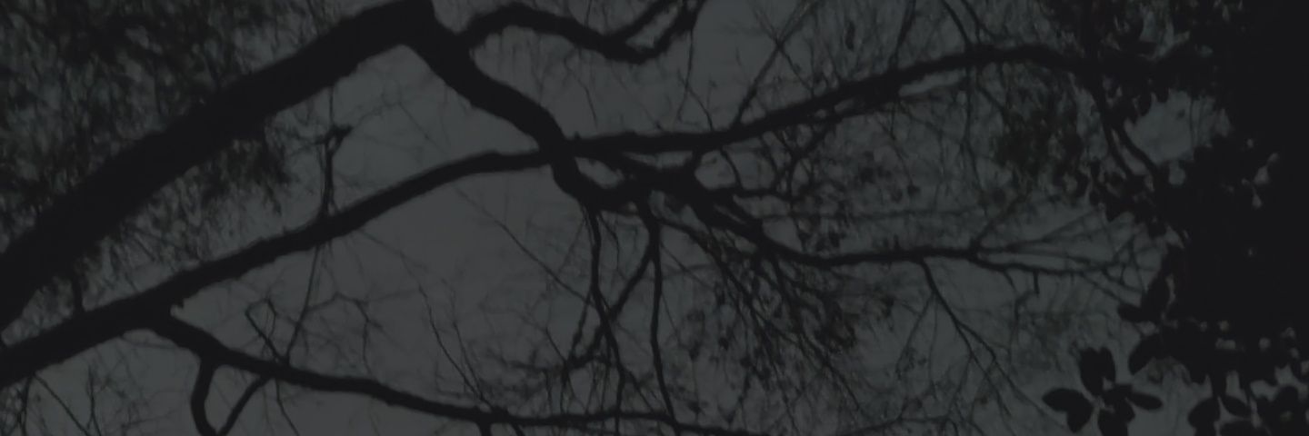 moonsin_'s profile banner image