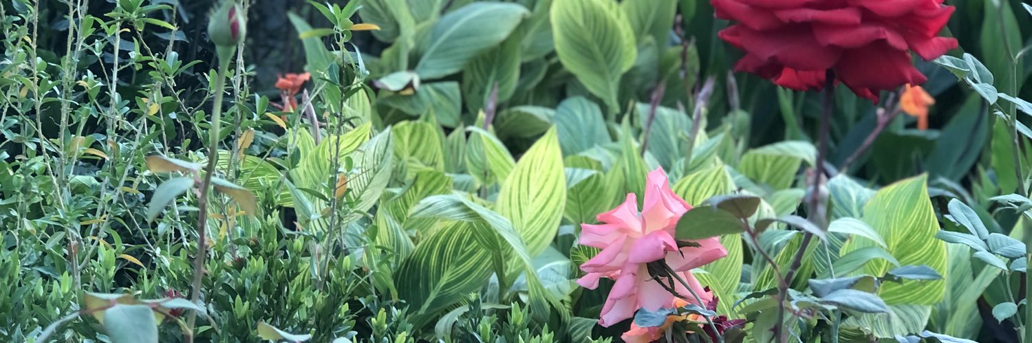 viemma51's profile banner image