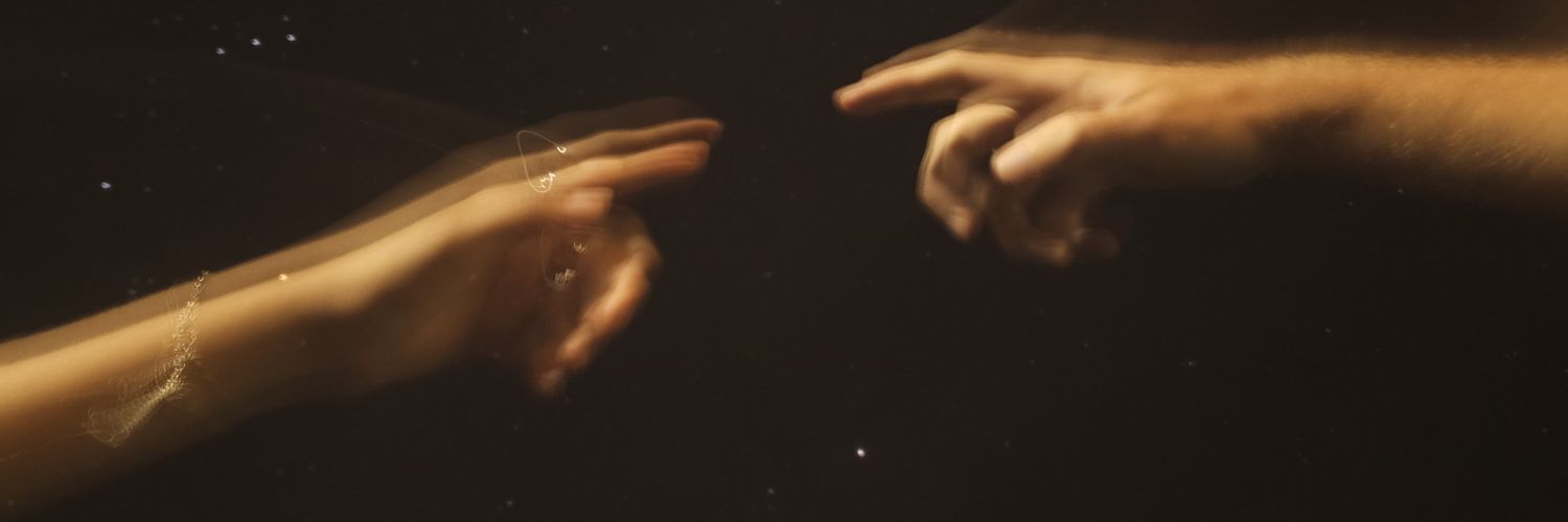 sahlointhetrees's profile banner image