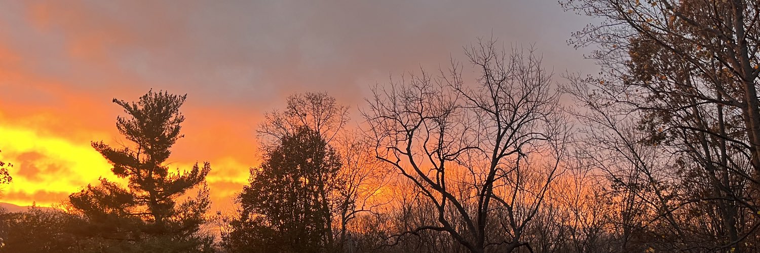 peytonoel's profile banner image